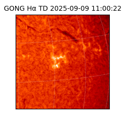 gong - 2025-09-09T11:00:22