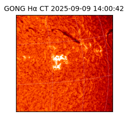 gong - 2025-09-09T14:00:42