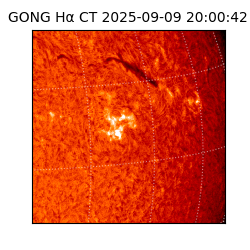 gong - 2025-09-09T20:00:42