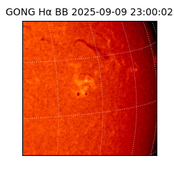 gong - 2025-09-09T23:00:02