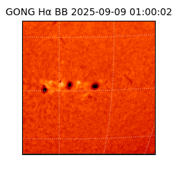 gong - 2025-09-09T01:00:02