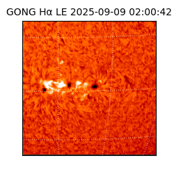 gong - 2025-09-09T02:00:42