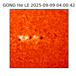 gong - 2025-09-09T04:00:42