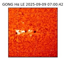 gong - 2025-09-09T07:00:42