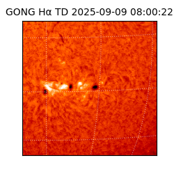 gong - 2025-09-09T08:00:22