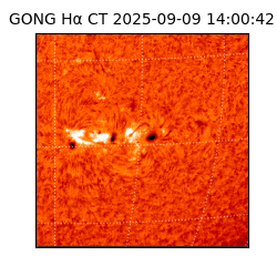 gong - 2025-09-09T14:00:42