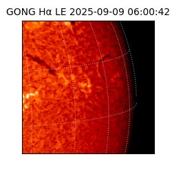gong - 2025-09-09T06:00:42