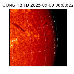 gong - 2025-09-09T08:00:22