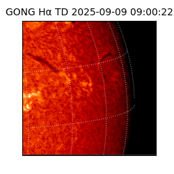 gong - 2025-09-09T09:00:22