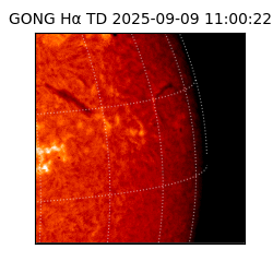 gong - 2025-09-09T11:00:22