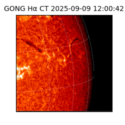 gong - 2025-09-09T12:00:42