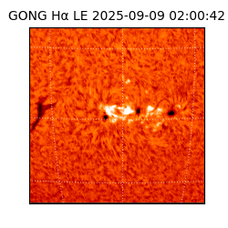 gong - 2025-09-09T02:00:42