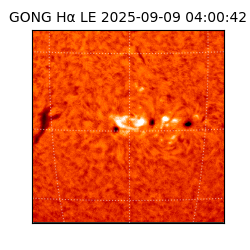 gong - 2025-09-09T04:00:42