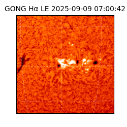 gong - 2025-09-09T07:00:42