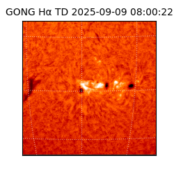 gong - 2025-09-09T08:00:22