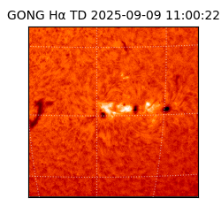 gong - 2025-09-09T11:00:22