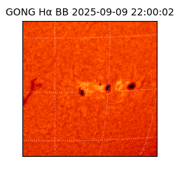 gong - 2025-09-09T22:00:02