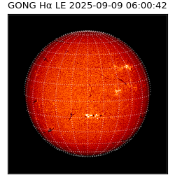 gong - 2025-09-09T06:00:42