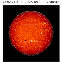 gong - 2025-09-09T07:00:42
