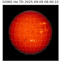 gong - 2025-09-09T08:00:22
