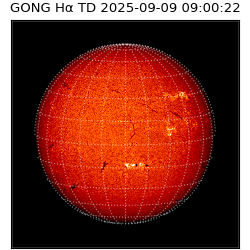 gong - 2025-09-09T09:00:22