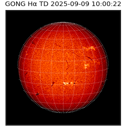 gong - 2025-09-09T10:00:22