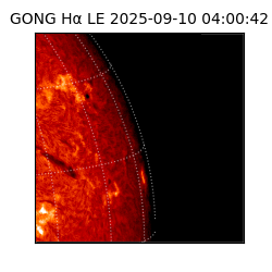 gong - 2025-09-10T04:00:42