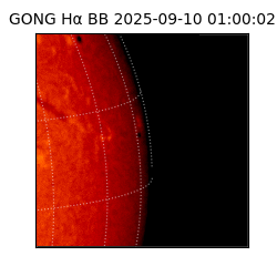 gong - 2025-09-10T01:00:02