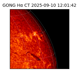 gong - 2025-09-10T12:01:42
