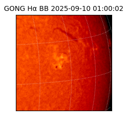 gong - 2025-09-10T01:00:02