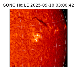 gong - 2025-09-10T03:00:42