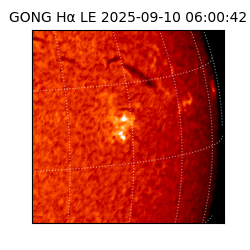 gong - 2025-09-10T06:00:42