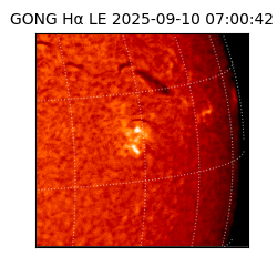 gong - 2025-09-10T07:00:42