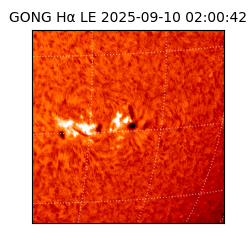 gong - 2025-09-10T02:00:42