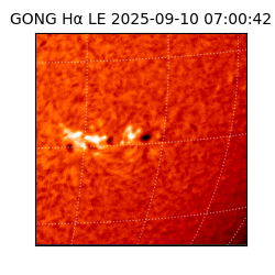 gong - 2025-09-10T07:00:42