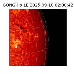 gong - 2025-09-10T02:00:42