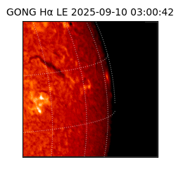 gong - 2025-09-10T03:00:42