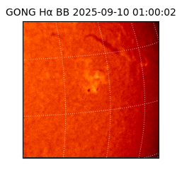 gong - 2025-09-10T01:00:02