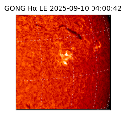 gong - 2025-09-10T04:00:42