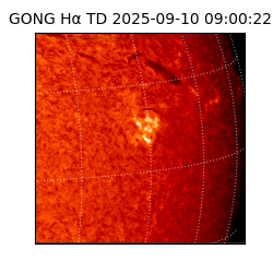gong - 2025-09-10T09:00:22