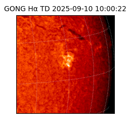 gong - 2025-09-10T10:00:22