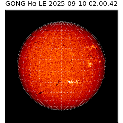 gong - 2025-09-10T02:00:42