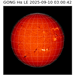 gong - 2025-09-10T03:00:42