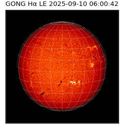 gong - 2025-09-10T06:00:42