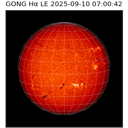 gong - 2025-09-10T07:00:42