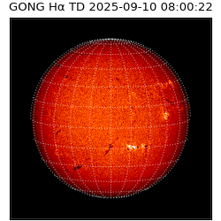 gong - 2025-09-10T08:00:22