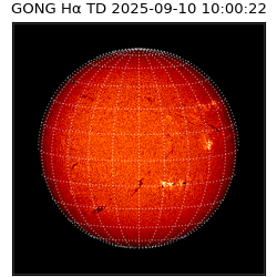 gong - 2025-09-10T10:00:22