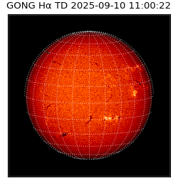 gong - 2025-09-10T11:00:22