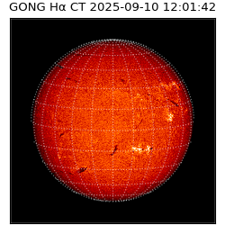 gong - 2025-09-10T12:01:42