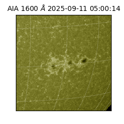 saia - 2025-09-11T05:00:14.126000